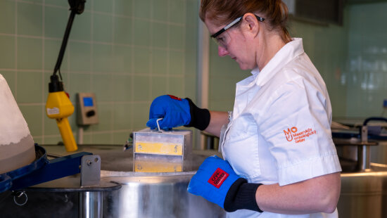 Jak putují odebrané vzorky do obřích termosek a k čemu slouží biobanka?